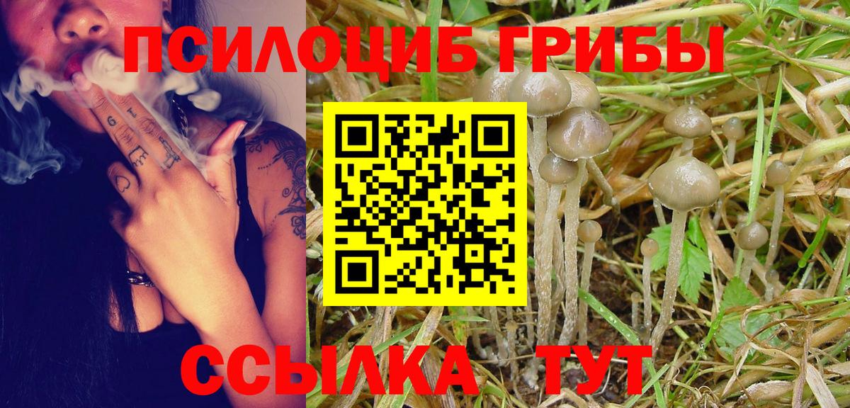 Галлюциногенные грибы MAGIC MUSHROOMS Еманжелинск