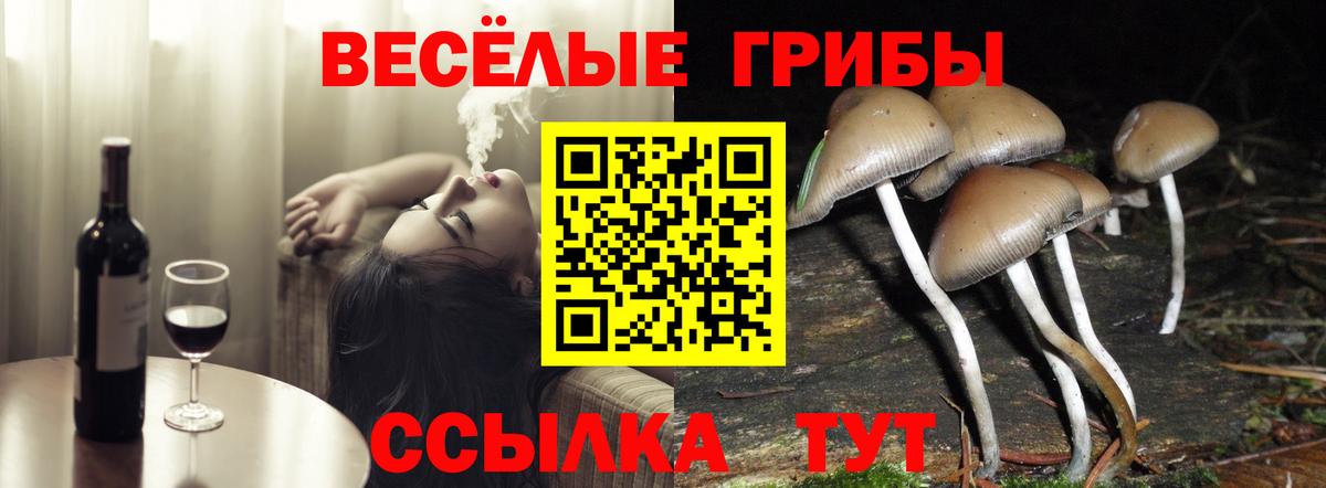 Псилоцибиновые грибы мицелий  Вход с VPN  Еманжелинск 